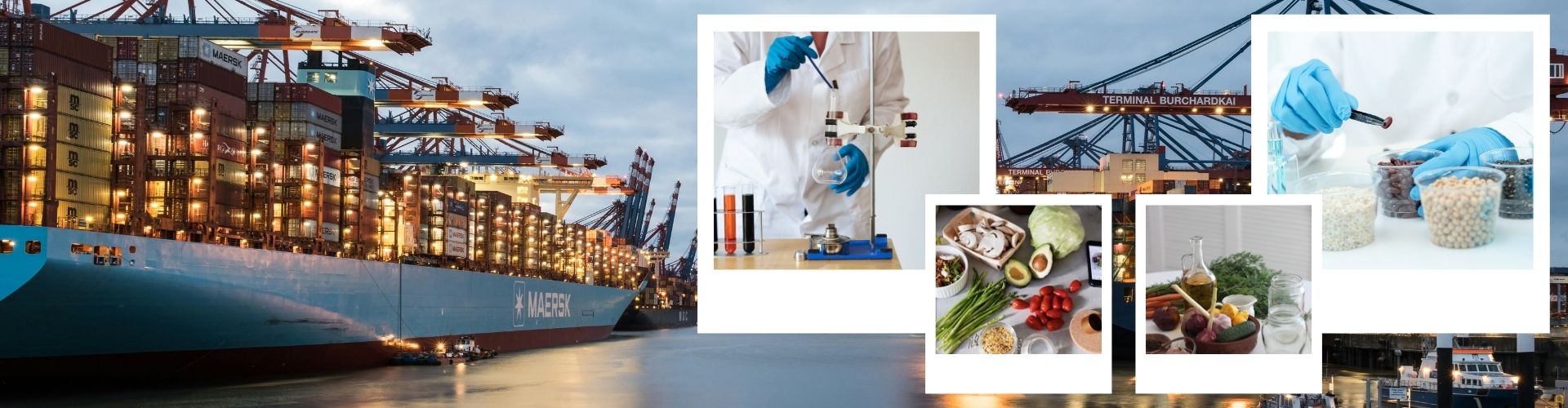 Dental & Medical Verification With Payers